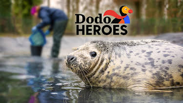 01:00: Dodo Heroes (S2 E6) (S2) | Animal Planet | 11/11 2025