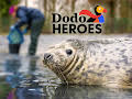 Dodo Heroes