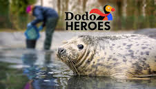 Dodo Heroes (S2 E1)