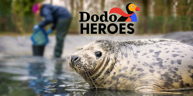 00:00: Dodo Heroes (S2 E4) (S2) | Animal Planet | 11/4 2025
