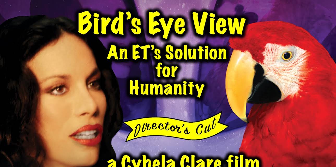 Bird's Eye View: An ET's Solution for Humanity (2026)