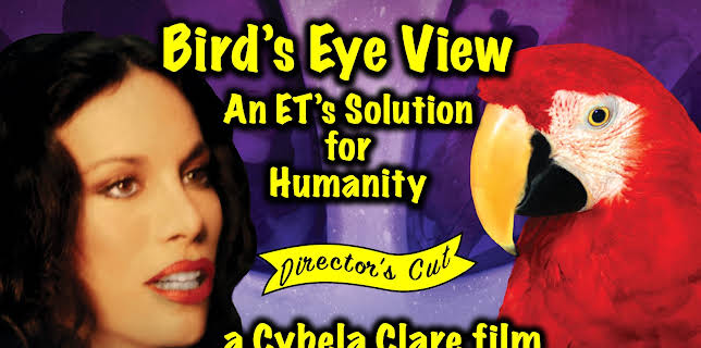 Bird's Eye View: An ET's Solution for Humanity (2026)