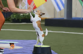 Puppy Bowl Presents: The World Pup: The World Pup