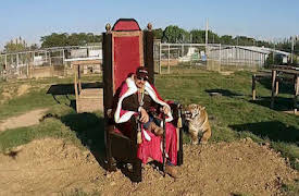 Tiger King: Dethroned