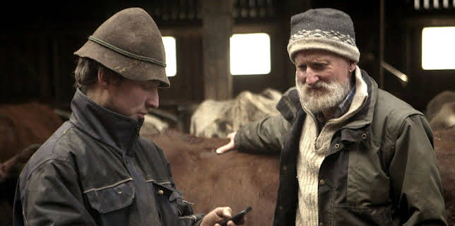 16:15: Land - Liebe - Luft | SWR Fernsehen RP | 1/11 2026