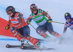 Copa del mundo de esquí acrobático - Montafon (T25/26): Campo a través