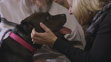 15:00: Pit Bulls & Parolees (S9 E14) (S9) | Animal Planet | 4/2 2026