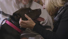 Pit Bulls & Parolees (S9 E14)