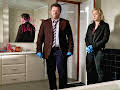 Brokenwood - Mord in Neuseeland: Blutiges Pink