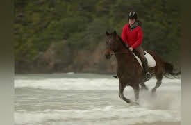 Real Lives Less Ordinary: Wild Horses
