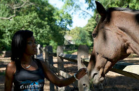 Guardians Of Rescue: Episode 5