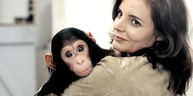 14:40: Tierärztin Dr. Mertens (S01/E01) | One | 11/17 2025