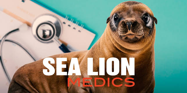Sea Lion Medics (2021)