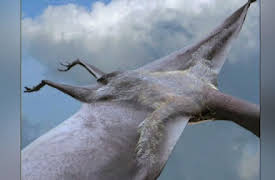 Prehistoric Creatures Season 1: Sky Monsters