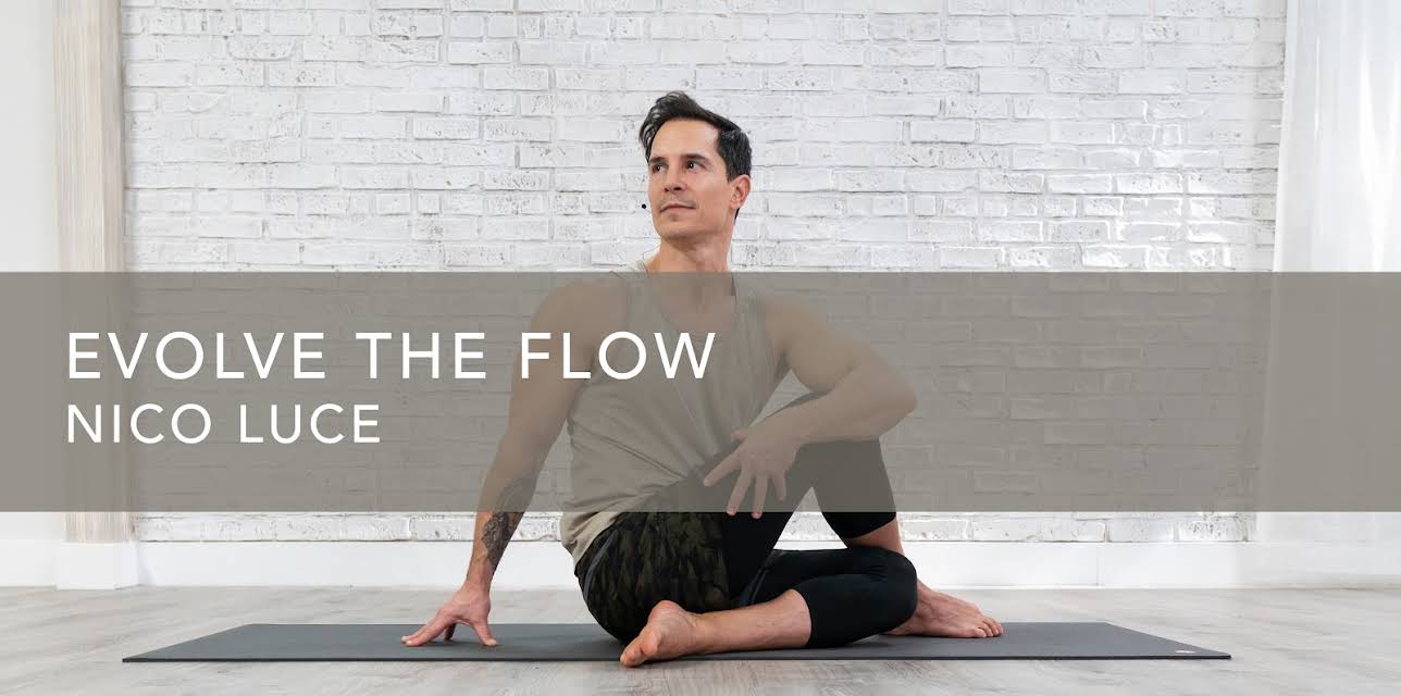 Evolve the Flow (2020)