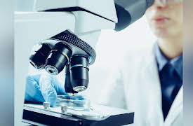 Unlocking the Hidden History of DNA: How DNA Redefines Medicine and Our Future