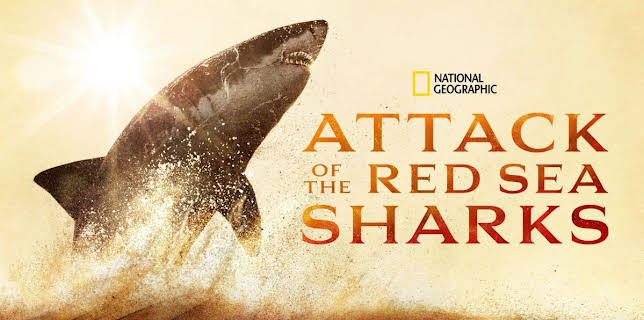 Attack of the Red Sea Sharks (2024)