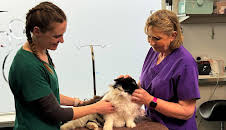 Fern Britton: Inside the Vet's (S2 E1)