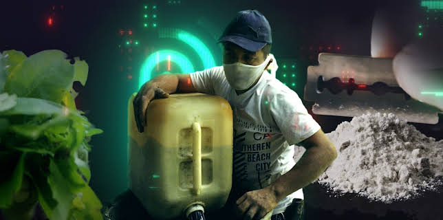 Inside Kokain: Killer, Kuriere, Konsumenten