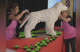 DC Cupcakes Season 1: Pupcakes