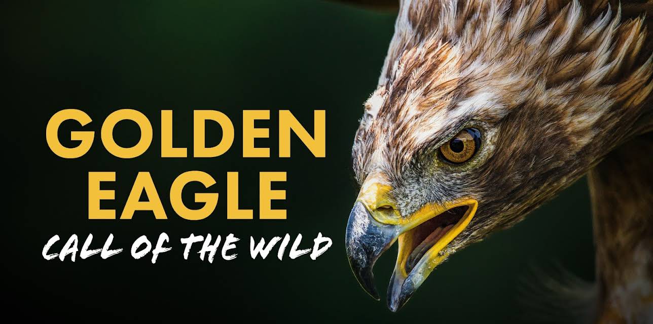 Golden Eagle: Call of the Wild