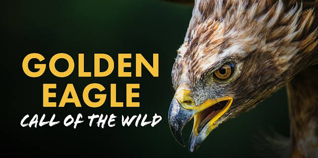 Golden Eagle: Call of the Wild