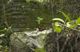 Legendary Locations: Episode 7