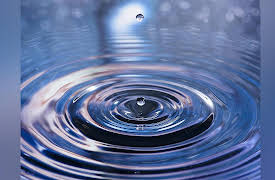 A Field Guide to the Planets: Water on Mars and Prospects for Life