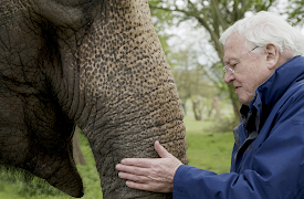 David Attenborough's Natural Curiosities, Season 1: Young Wrinklies