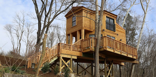 00:45: Jeffersonian Honeymoon Suite (S6 E7) (S6) | Animal Planet | 11/26 2025