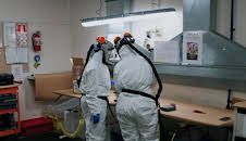 Border Patrol New Zealand