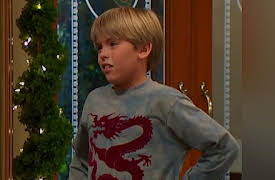 The Suite Life of Zack & Cody Volume 1: To Catch a Thief