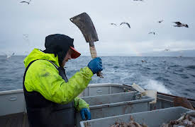 Deadliest Catch: Dungeon Cove: Final Crossing