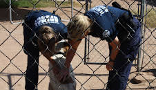 Animal Cops Phoenix (S15 E12)