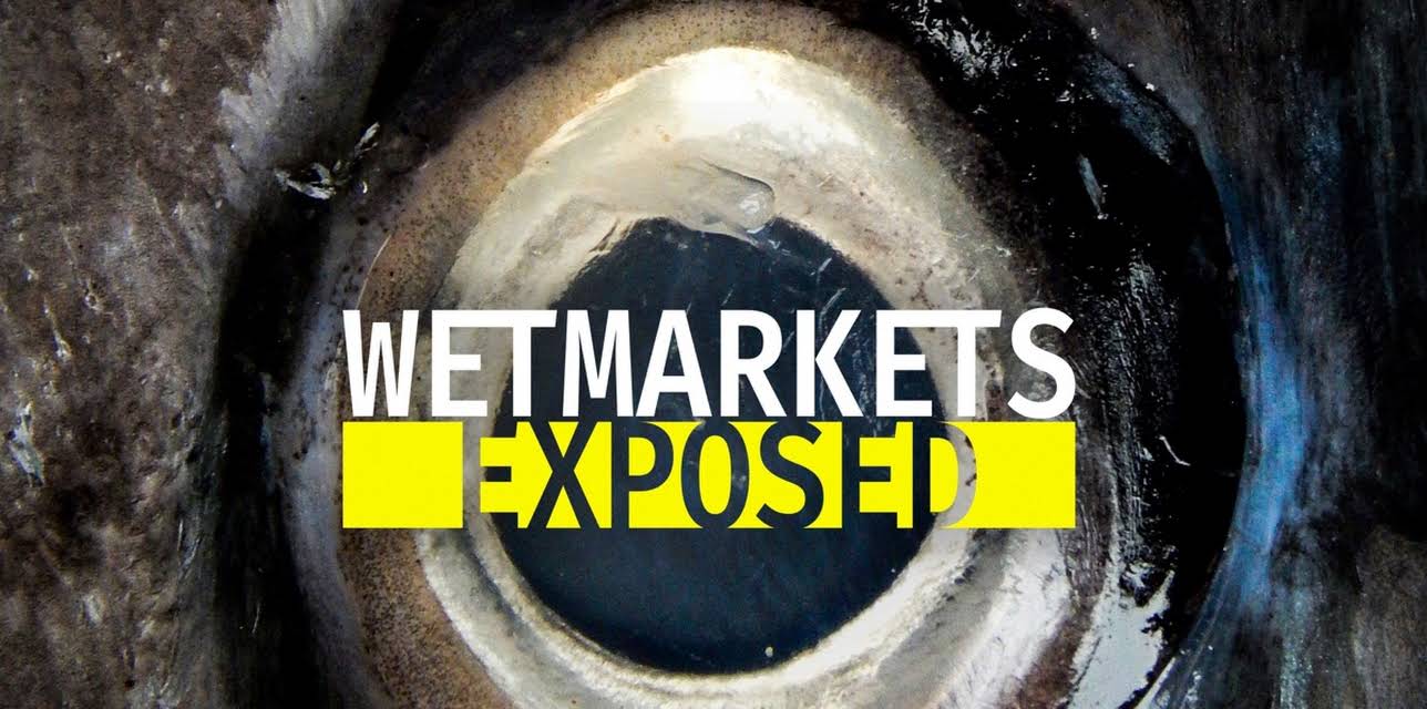 Wet Markets Exposed