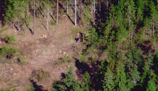 Fanget på politiets kamera Sverige (S1 E4)