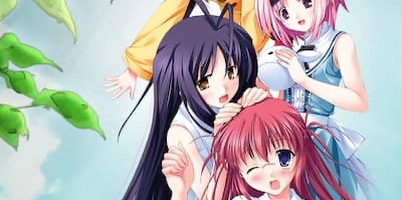 Final Examination Kujira