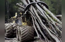 Swamp Loggers Season 1: The Storm