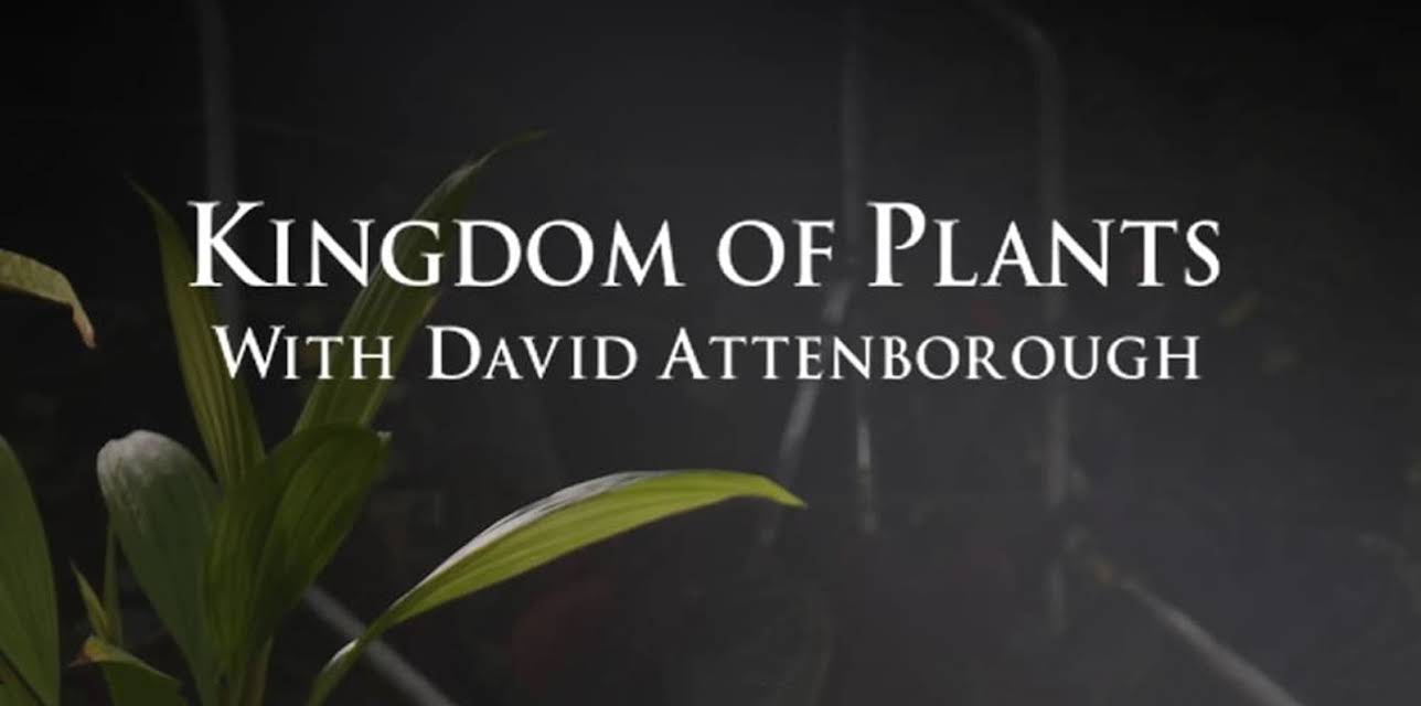 Kingdom of Plants