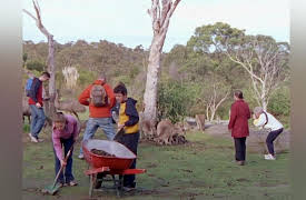 Don't Blame the Koalas: Dropped In It