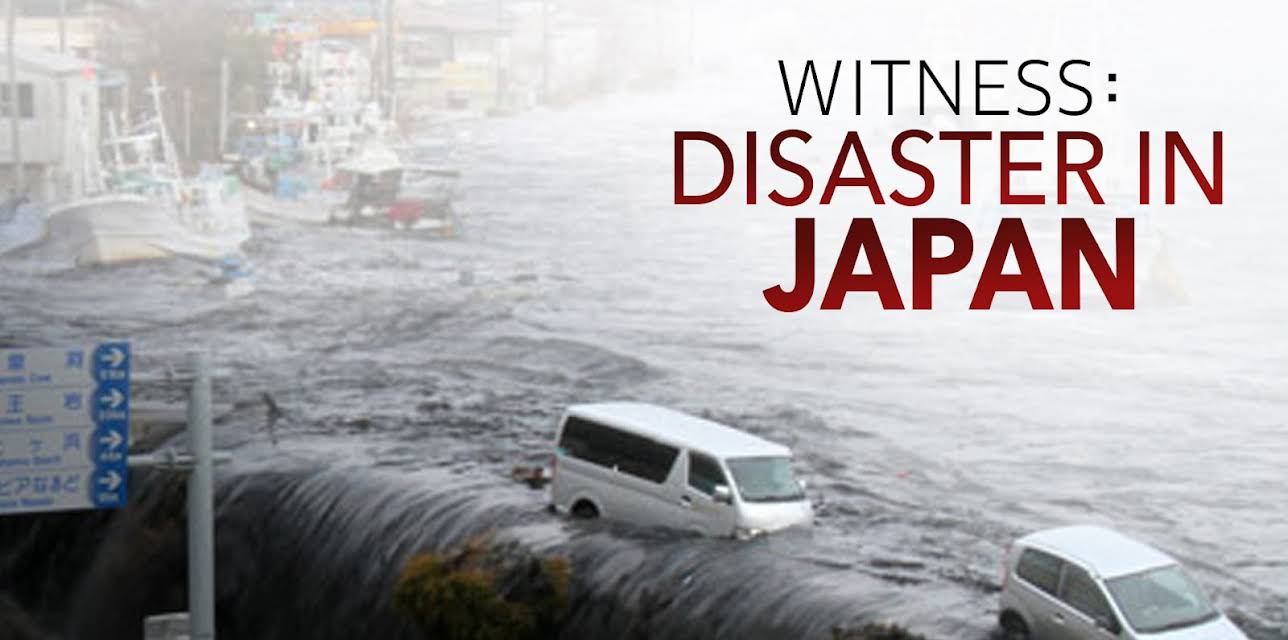 Witness: Disaster in Japan (2011)
