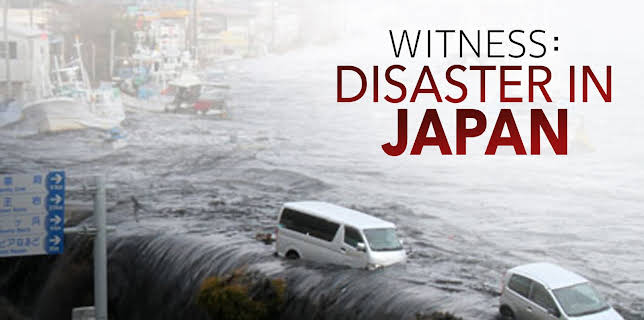 Witness: Disaster in Japan (2011)