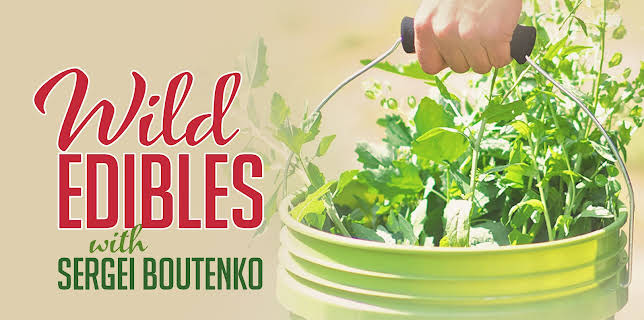 Wild Edibles with Sergei Boutenko (2019)