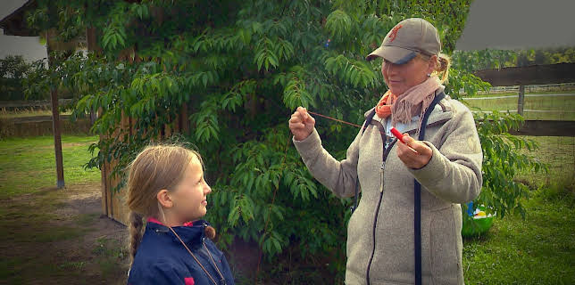 06:10: Liebste Fellnasen - Abenteuer Hundeschule | Das Erste | 3/14 2026
