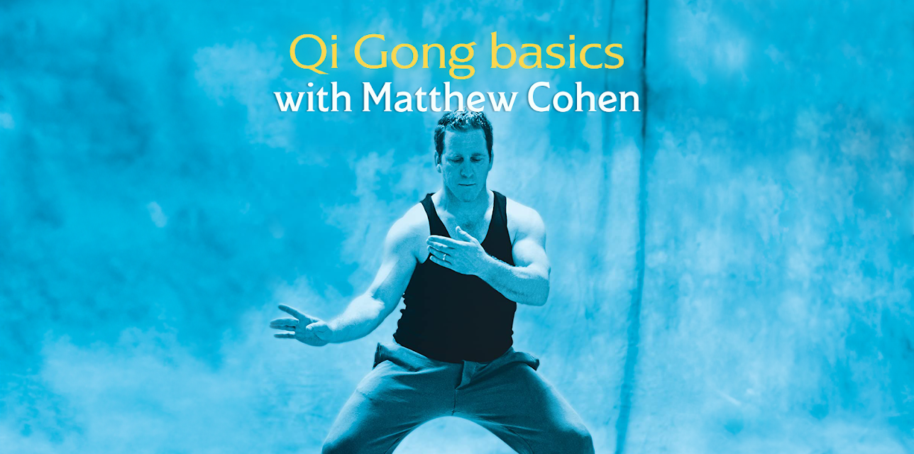 Qi Gong Basics (2011)