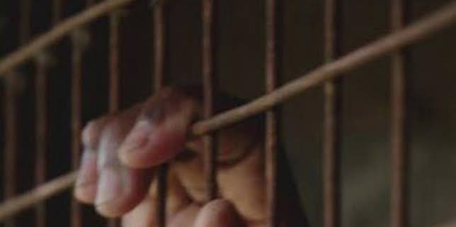 23:27: Las peores cárceles del mundo: Mauricio | Discovery Max | 2/19 2026