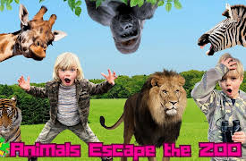 Sky and Finn: Animals Escape the Zoo