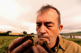 The Science of Wine: Can You Smell Soil in Wine?