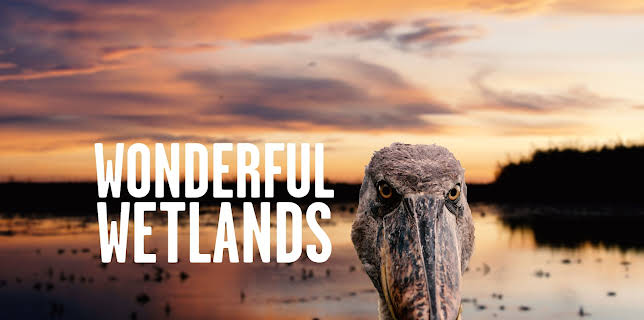 Wonderful Wetlands (2025)