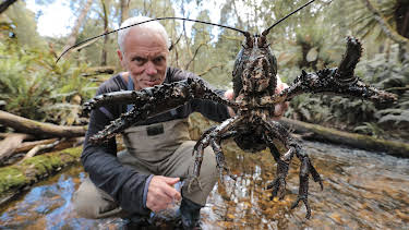 07:40: Fiske i mystiske farvann (S1 E5) (S1) | Animal Planet | 4/30 2026